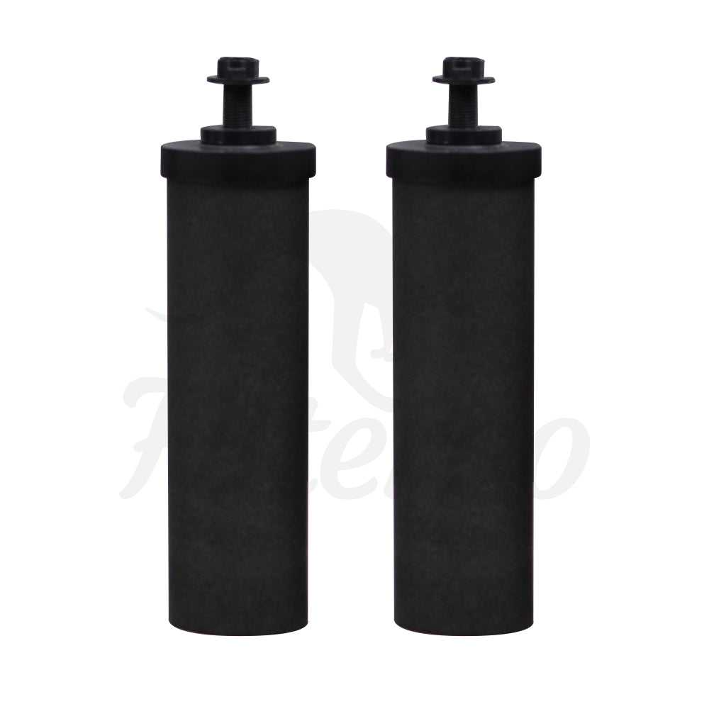 replacement Black Carbon Block Water Filter Elements (2 Pack)